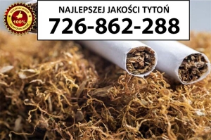 Bardzo dobrej jakości TYTOŃ 75PLN/1KG