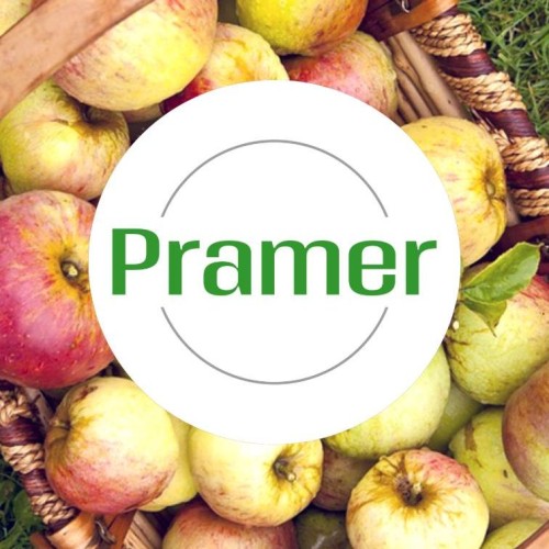 logo firmy PRAMER