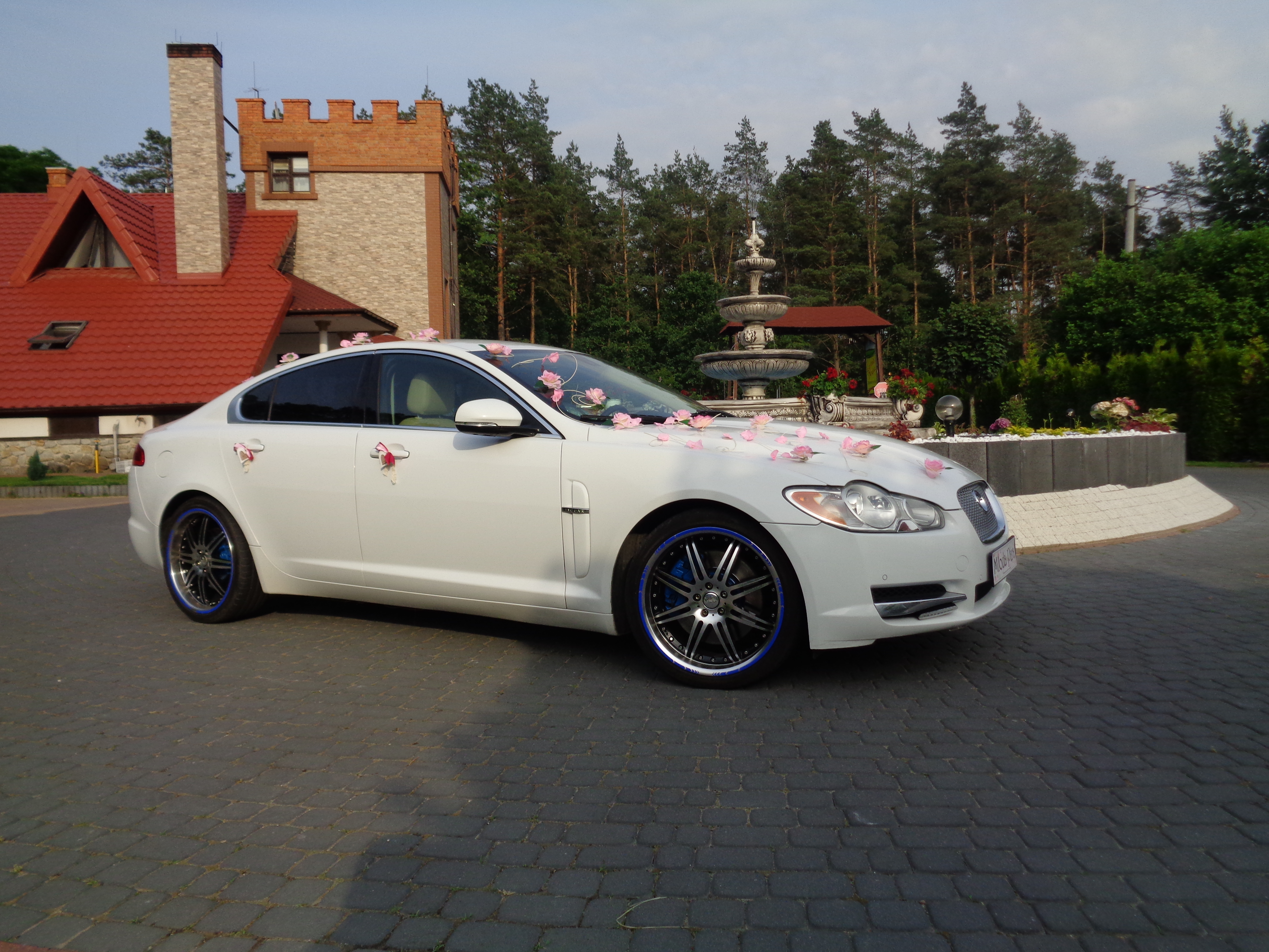 Piękny biały JAGUAR XF