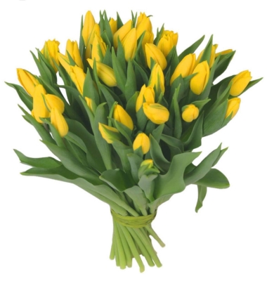 Bukiet 11 żółtych tulipanów