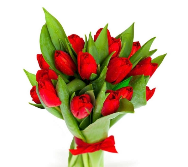 Bukiet 25 czerwonych tulipanów