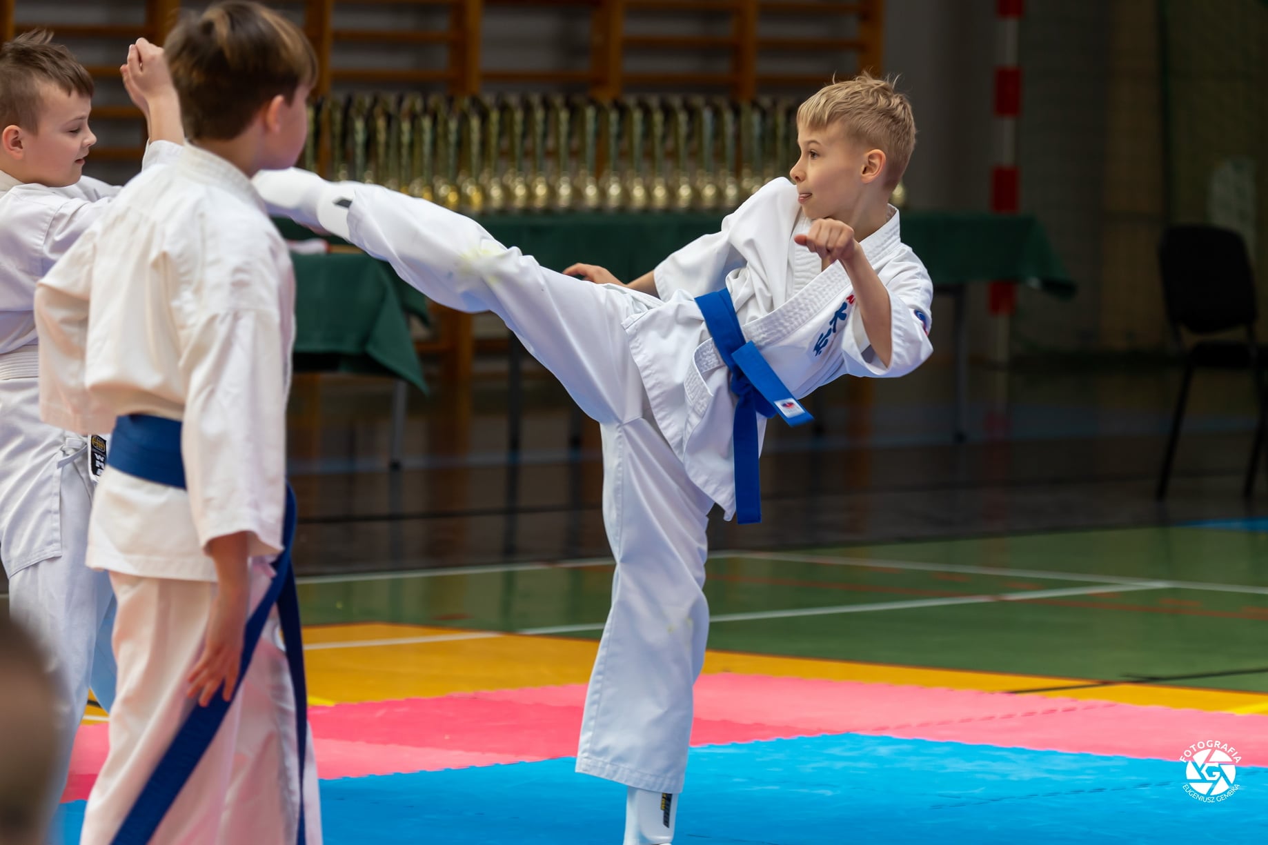 Otwarte Mistrzostwa Makroregionu Centralno-Północnego Oyama Karate