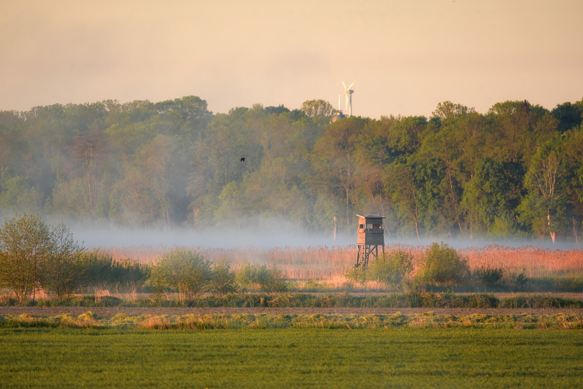 Koniec grzybobrania w gminie Kościelec – powstaje rezerwat przyrody - sprostowanie