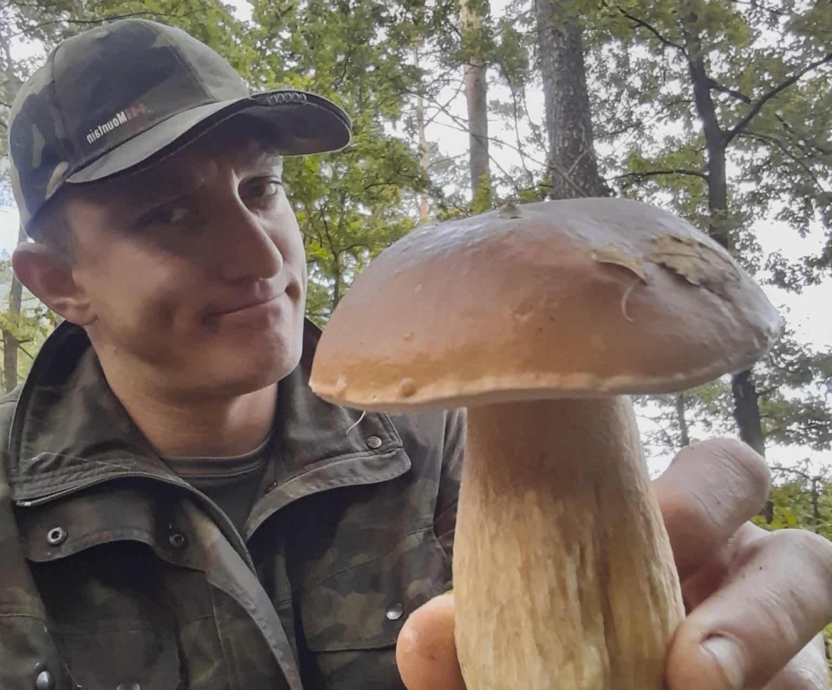 Sezon grzybowy w powiecie kolskim: borowiki, kurki i koźlarze w lasach [FOTO]