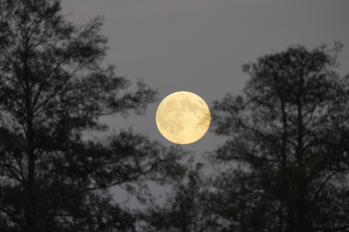 Superpełnia nad Kołem - Księżyc najbliżej Ziemi