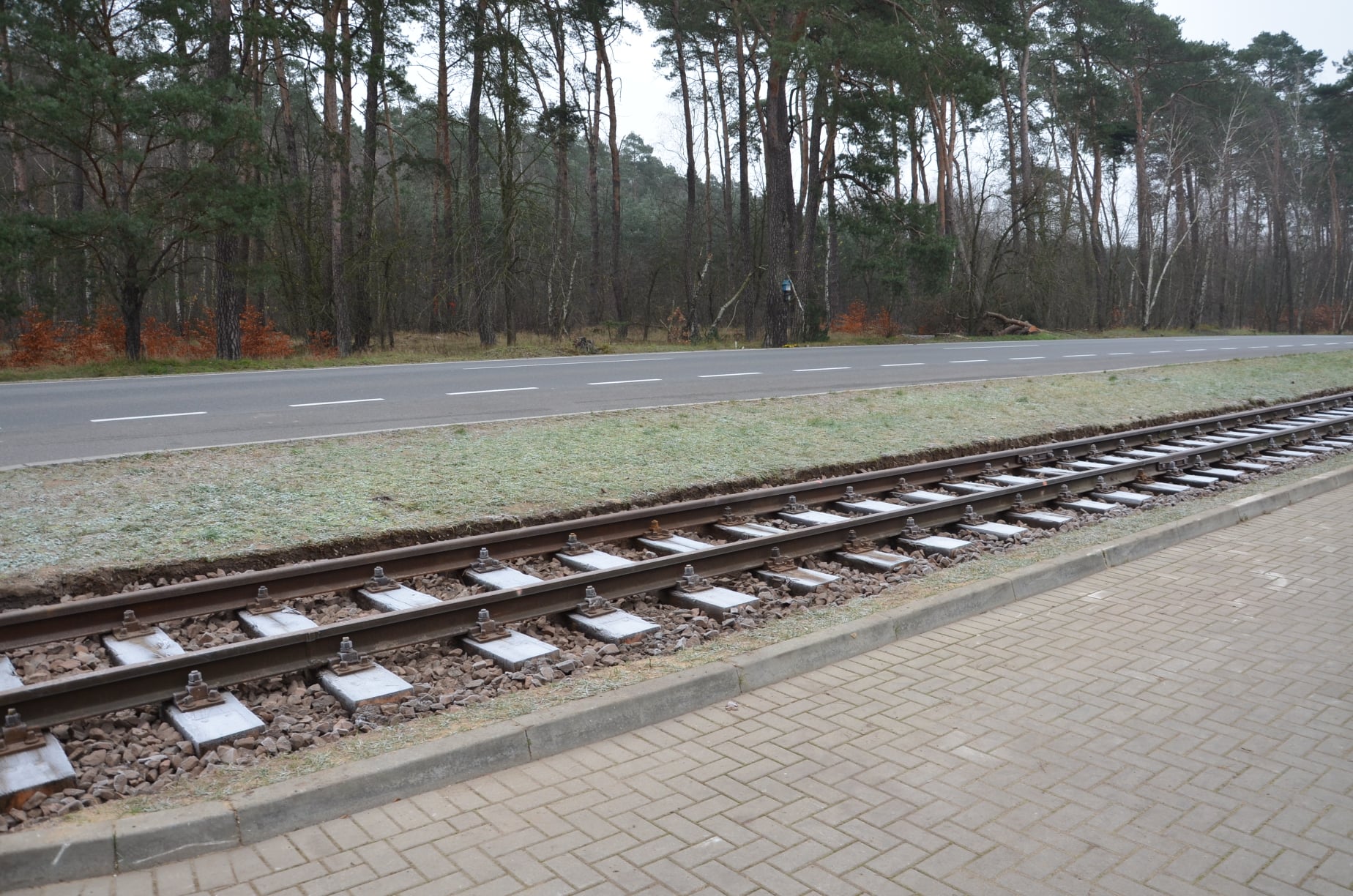 Zakończenie prac w lesie rzuchowskim. Pojawiły się tory kolejowe