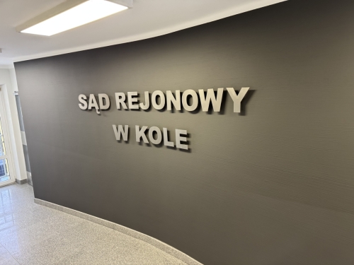 Radne powiatowe stanęły przed sądem. Co wiemy po pierwszej rozprawie?