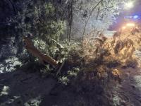 Zimowy poranek bez prądu. Gminy czekają na naprawę