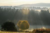 IMGW: rekordowo ciepły Dzień Wszystkich  Świętych-cały długi weekend również letni
