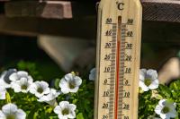 Ostrzeżenie meteorologiczne dla powiatu kolskiego: Upały nad Wielkopolską