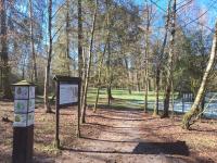 Lasy dla ludzi - edukacyjne i rekreacyjne funkcje lasów państwowych