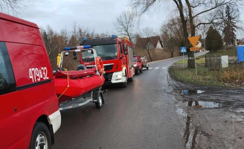 Strażacy pomogli sarnie uwięzionej na lodzie