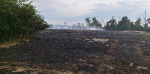 Pożar nieużytków rolnych na dużej przestrzeni. 12 jednostek OSP z powiatu zaangażowanych w gaszenie [ZDJĘCIA]