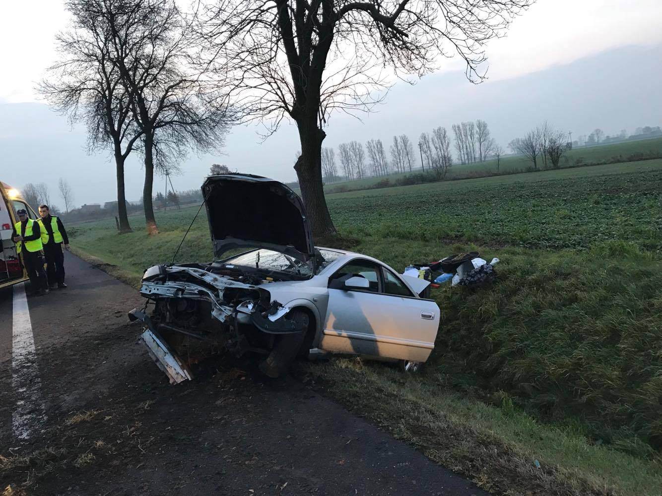 Wpadł do rowu, aby uniknąć zderzenia z sarną