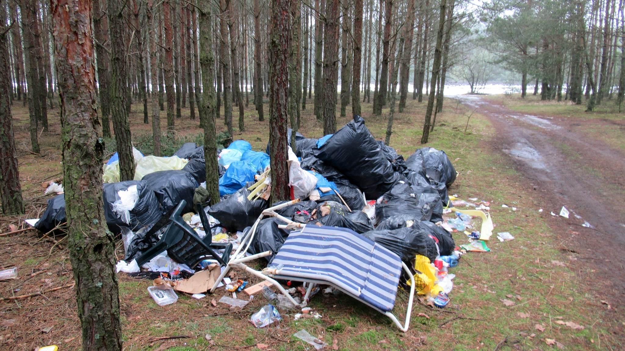 Dzikie wysypisko śmieci w środku lasu!