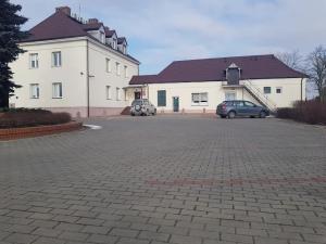 Weterynaryjny bilans roku 2024 w Kole. Co zawiera raport Powiatowego Lekarza Weterynarii?