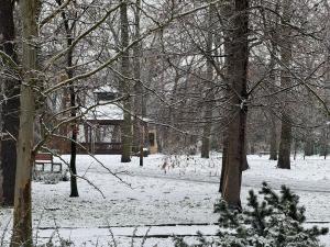 Mieszkańcy ostrzegają przed drogami - ślisko i biało w całym powiecie