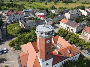 Nagrody pieniężne dla kolskich artystów. Kto został doceniony?