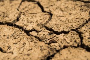 Susza hydrologiczna w powiecie? Pojawiają się pierwsze ostrzeżenia