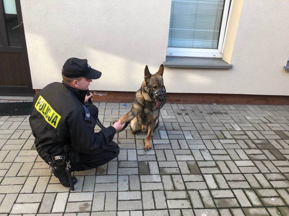  Do patroli pieszych dołączył pies - Goran
