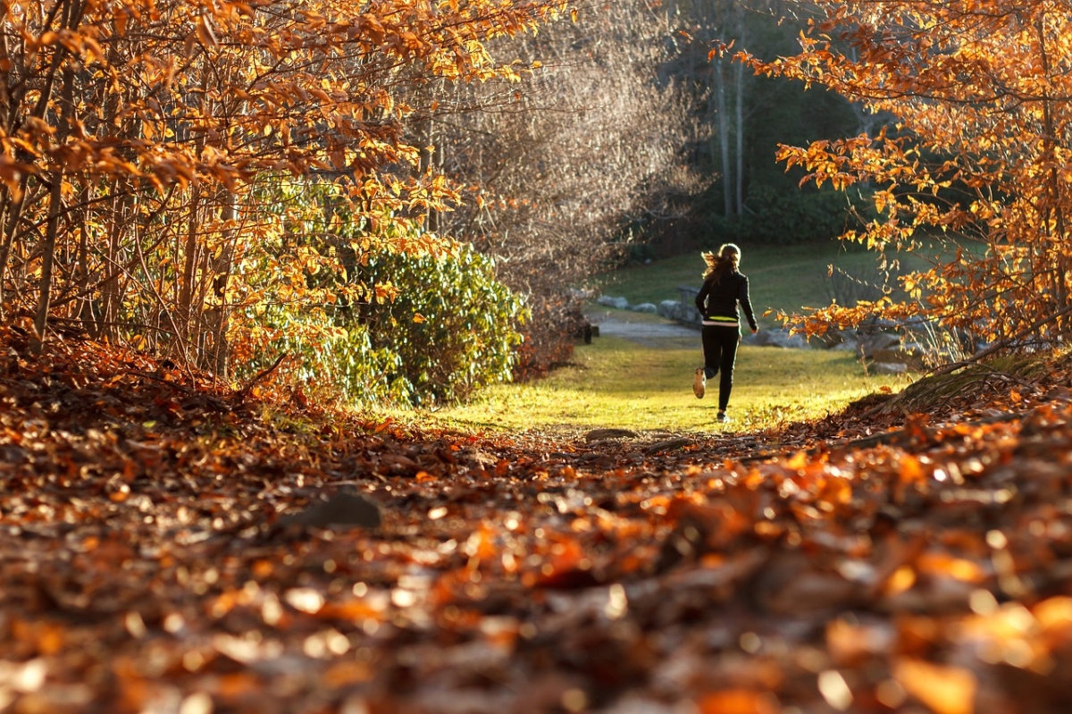 Jak zachować dobrą kondycję fizyczną w sezonie jesieni: Ćwiczenia w domu