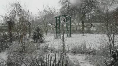 Pierwszy śnieg w obiektywie naszych czytelników