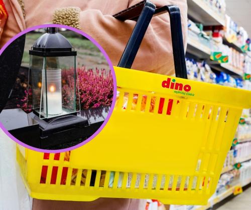 Ostatni moment na znicze w Dino - ceny nawet o 30% niższe