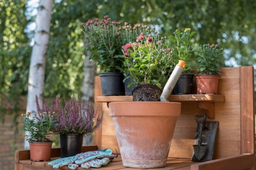 Jak zabezpieczyć ogród przed jesienną pogodą?