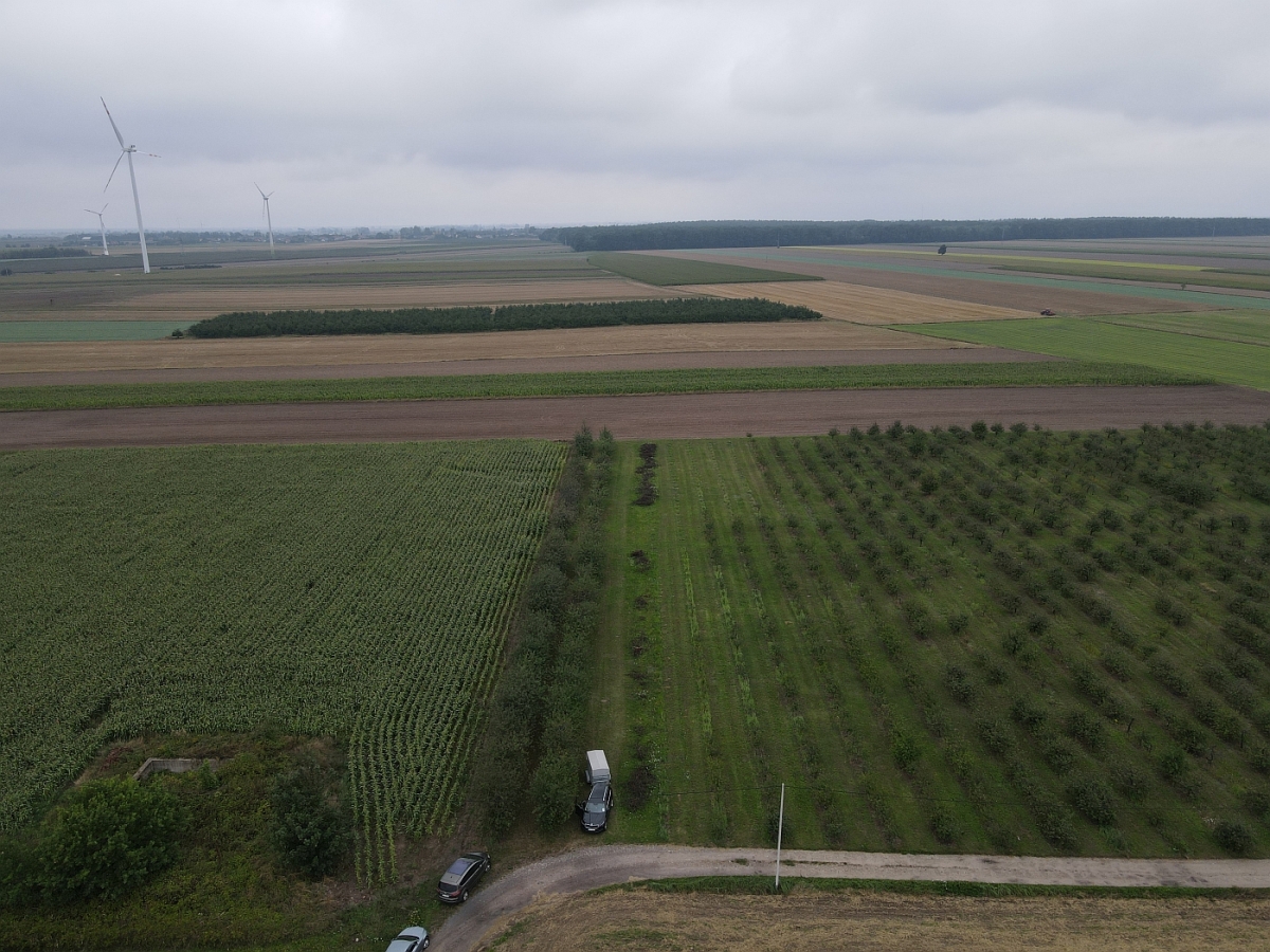 Poznaliśmy firmy, które chcą budować północną obwodnicę miasta Koła