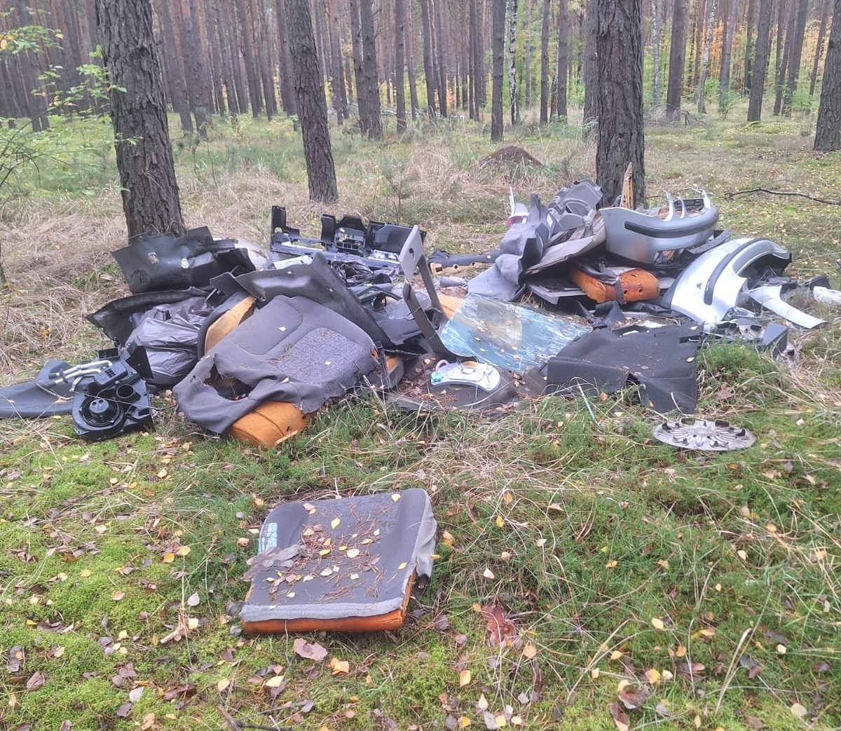Odpady w lesie pod Kołem. Leśnicy apelują o odpowiedzialność
