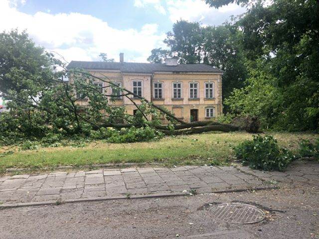 Połamane konary, poprzewracane drzewa i urwane rynny