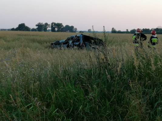 Wypadł z drogi i uderzył w drzewo. Śmierć na miejscu