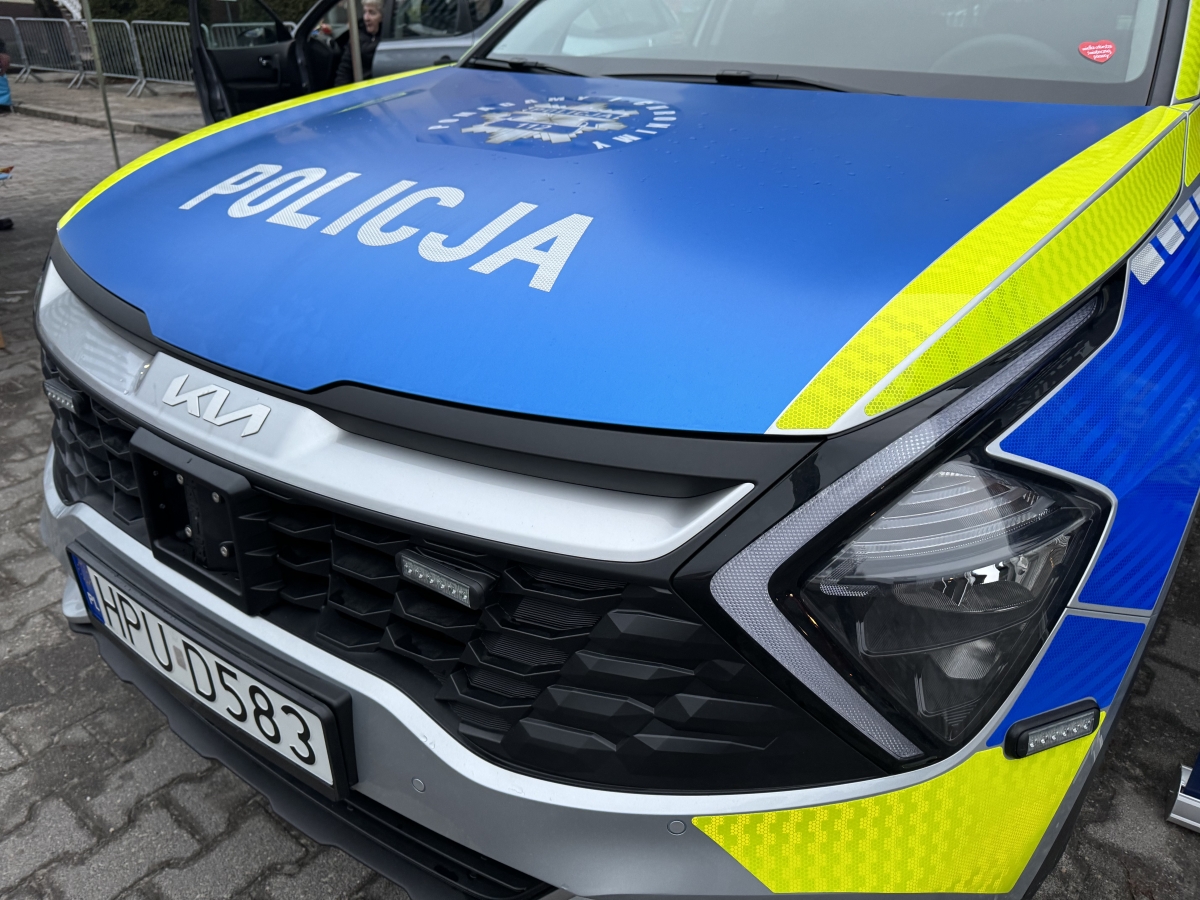 Karetka jechała z pacjentem. Doszło do zderzenia z sarną