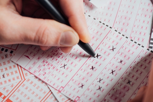 Kolejna wysoka wygrana w Lotto w Kole! Jedyny wynik w kraju - gratulujemy!