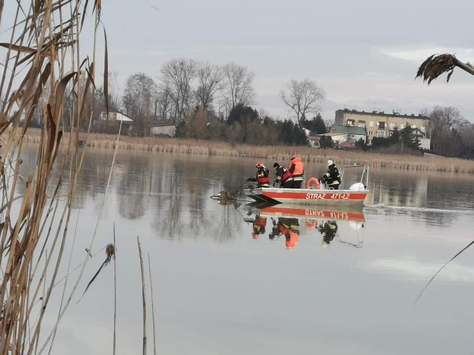 Strażacy uratowali sarnę uwięzioną na zamarzniętym jeziorze