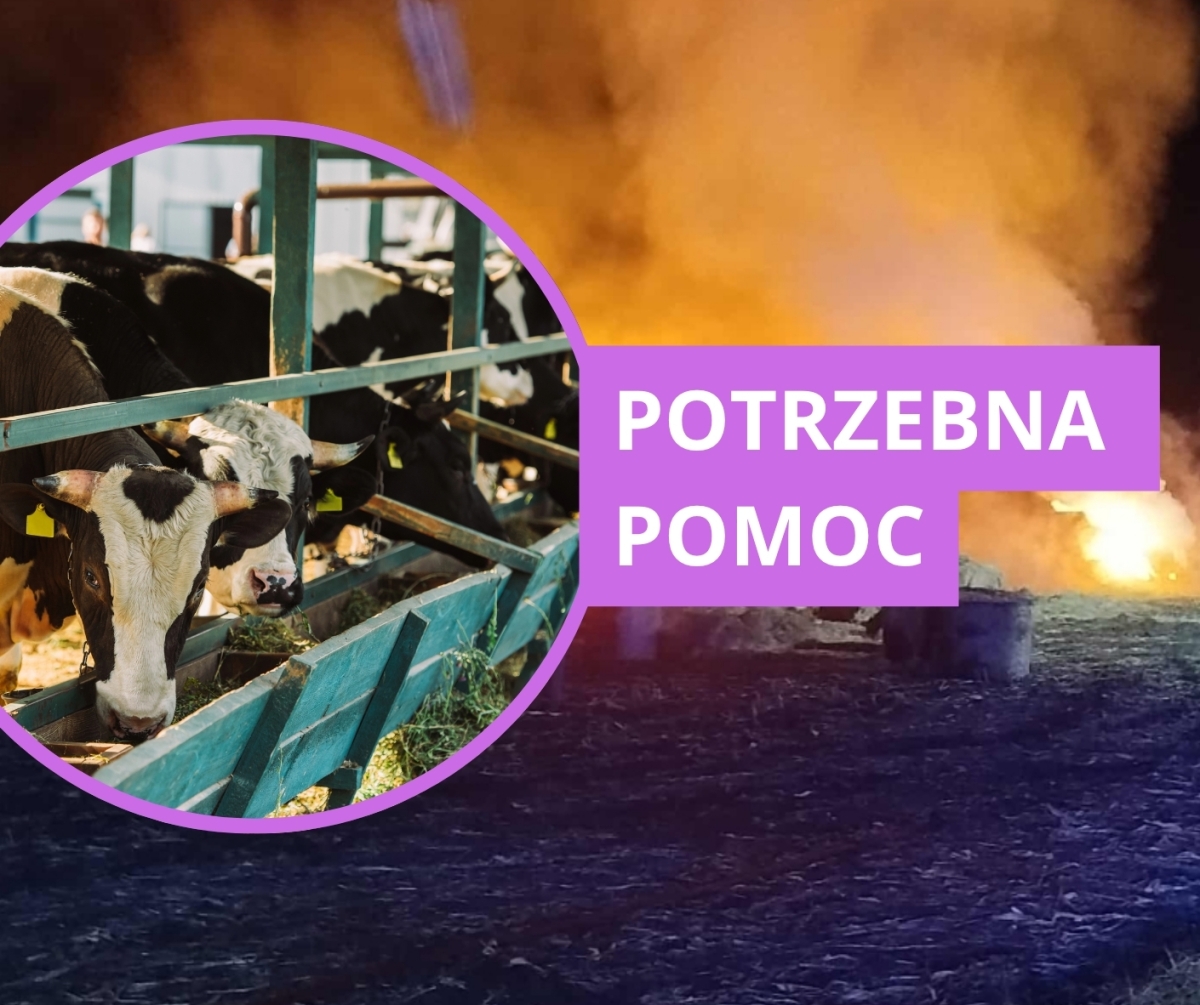 Rolnicy! Potrzebna pomoc po pożarze - stracili całą słomę