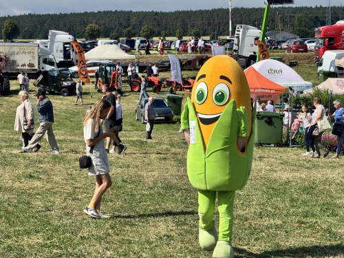 Nie tylko maszyny i sadzonki. Co naprawdę przyciągnęło ludzi na targi w Kościelcu? [FOTO] [ANKIETA]