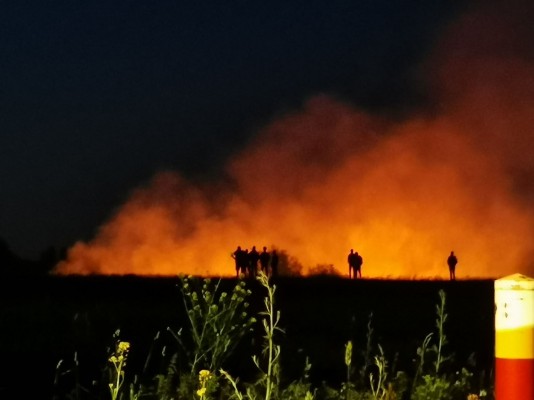 Spłonęło blisko hektar traw i trzcin. 14 strażaków gasiło pożar
