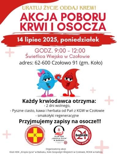 Akcja poboru krwi i osocza w poniedziałek w Czołowie
