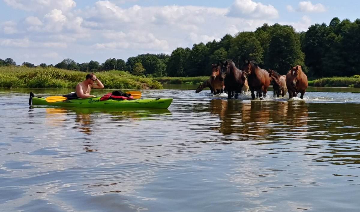 Koło Przygody podsumowuje ostatni rok wypraw