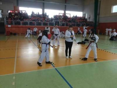 Mistrzostwa Warmii i Mazur Polskiej Federacji Taekwon-do