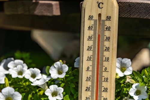 Ostrzeżenie meteorologiczne dla powiatu kolskiego: Upały nad Wielkopolską