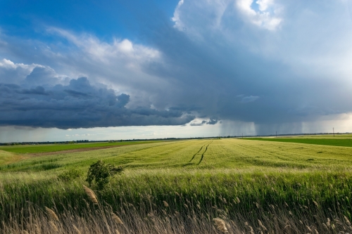 Ostrzeżenie meteorologiczne dla Powiatu Kolskiego