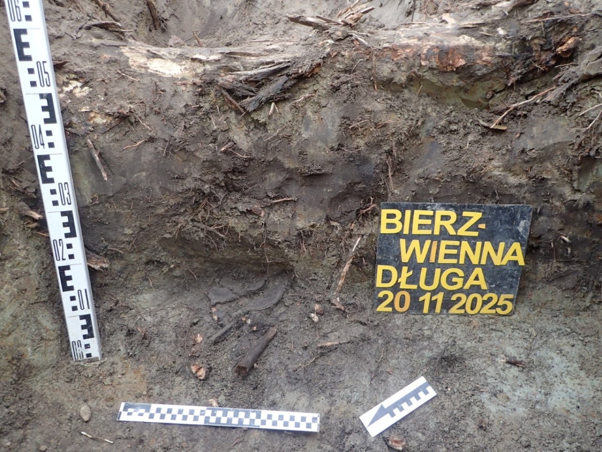 Dwa groby, jedna mogiła - badania zakończone w powiecie kolskim [FOTO]