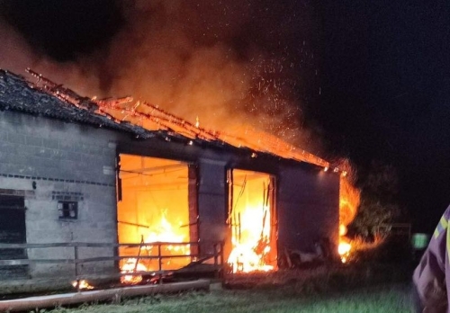 Pożar budynku gospodarczego. Za ścianą zwierzęta