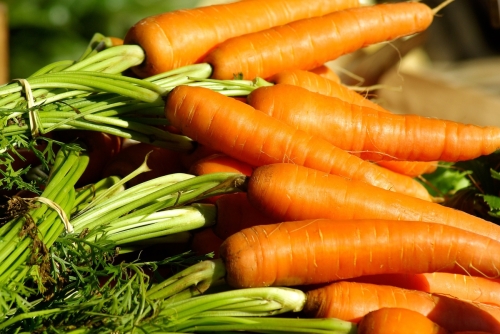 Kalendarz ogrodniczy: Warzywa do siewu w marcu