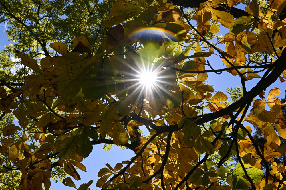 Meteorolog IMGW: bomba ciepła nad Polską- w poniedziałek nawet 23 st. C