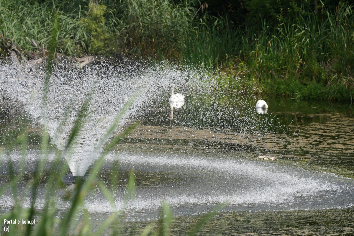 Jak wygląda Park 600-lecia po rewitalizacji? Zobacz nasze zdjęcia! [FOTO]