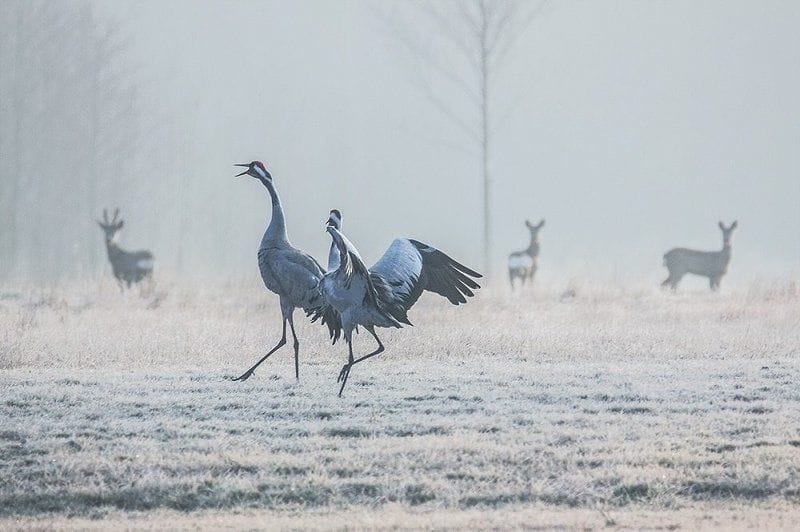 Prognoza pogody dla miasta Koła: Tydzień pełen zmian