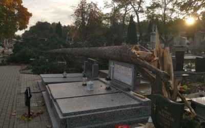 55 wyjazdów spowodowanych silnym wiatrem. Ucierpiał kolski cmentarz